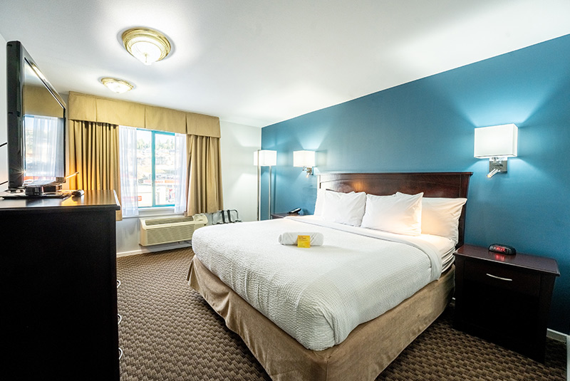 Standard One King Bed
